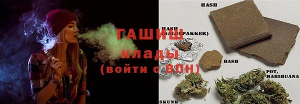 гашик Костерёво
