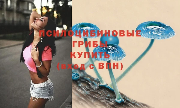 ешки Коряжма