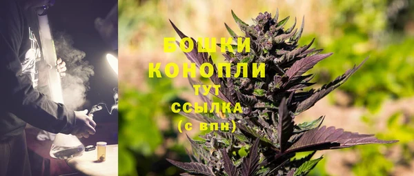 гашик Костерёво
